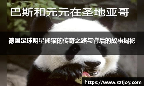 德国足球明星熊猫的传奇之路与背后的故事揭秘